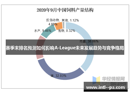 赛季末排名预测如何影响A-League未来发展趋势与竞争格局