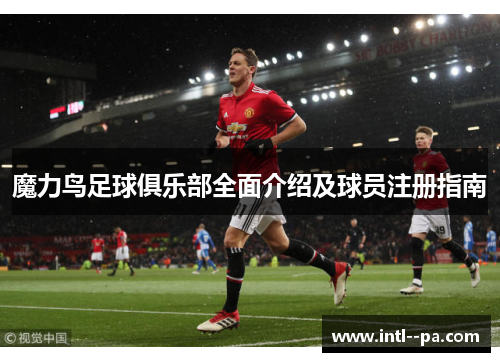 魔力鸟足球俱乐部全面介绍及球员注册指南