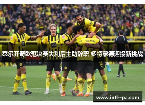 泰尔齐奇欧冠决赛失利后主动辞职 多特蒙德迎接新挑战 泰尔齐奇欧冠决赛失利后主动辞职 多特蒙德迎接新挑战