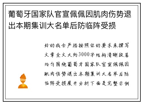 葡萄牙国家队官宣佩佩因肌肉伤势退出本期集训大名单后防临阵受损 葡萄牙国家队官宣佩佩因肌肉伤势退出本期集训大名单后防临阵受损